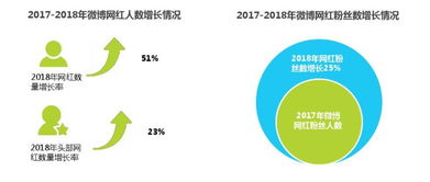 中国网红经济 从流量到财富的惊人转化与深远影响