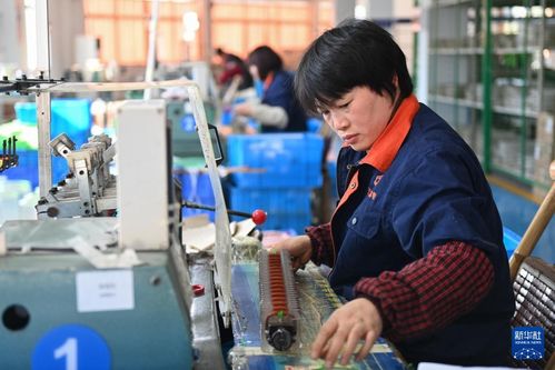 浙江嵊州 以专业咨询服务为引擎，高质量推进工业经济发展