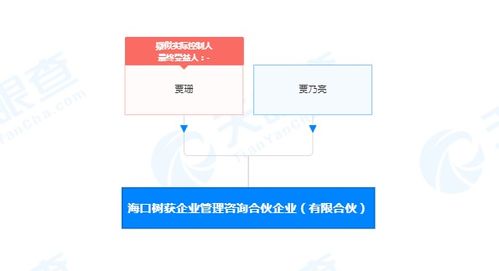 解码社会经济咨询服务的价值与挑战