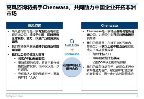 高风咨询 赋能中国企业非洲拓展的新社会经济服务能力